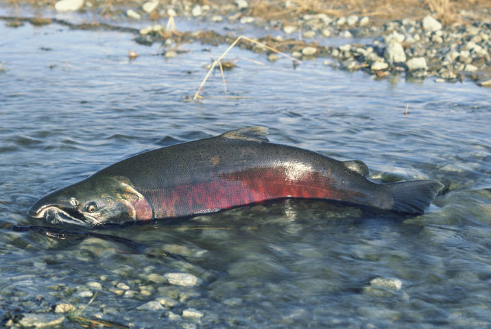 Take Action: Send an Email to the Gorge Commission